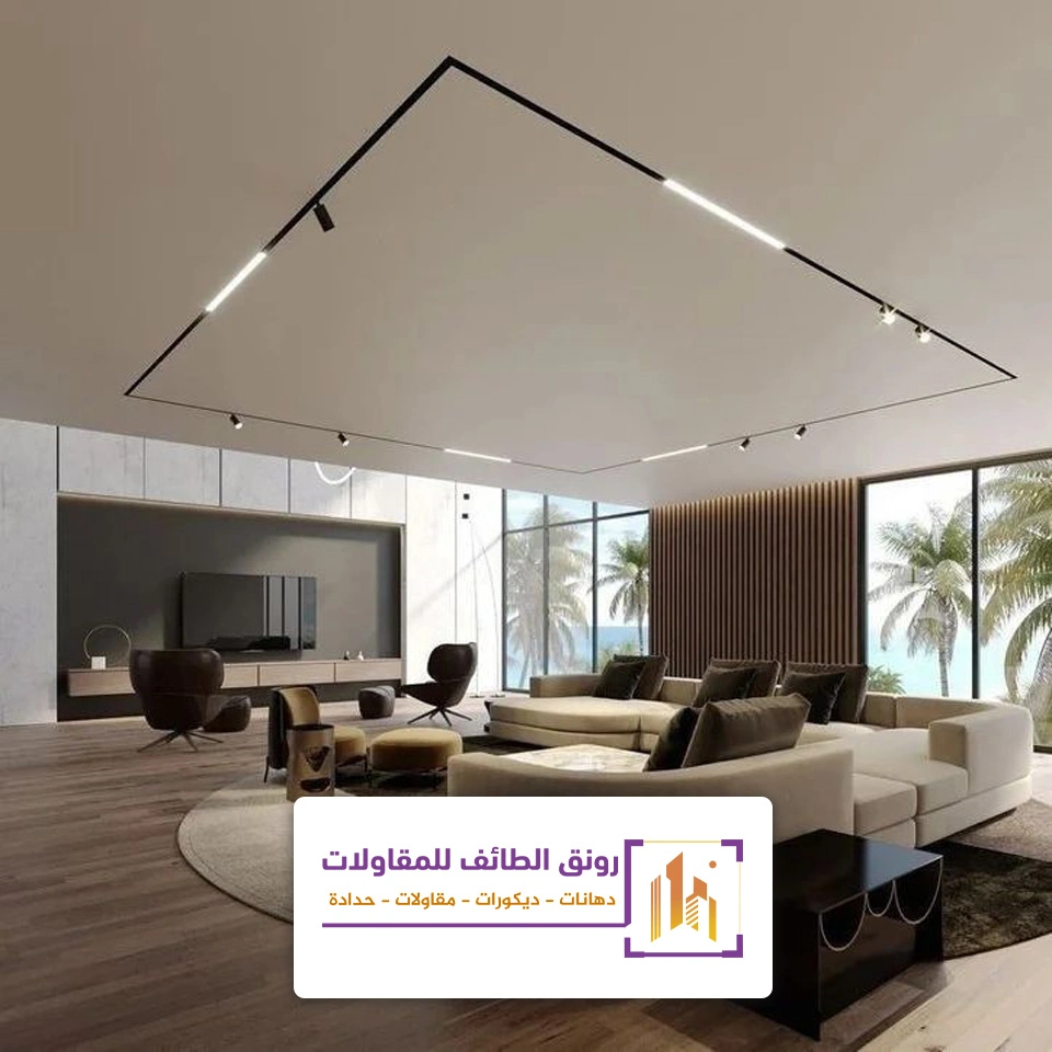 اضاءة سقف طويلة