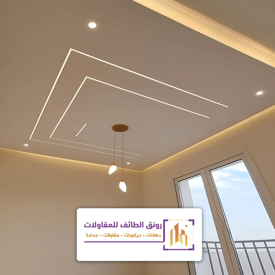 اضاءة سقف طويلة