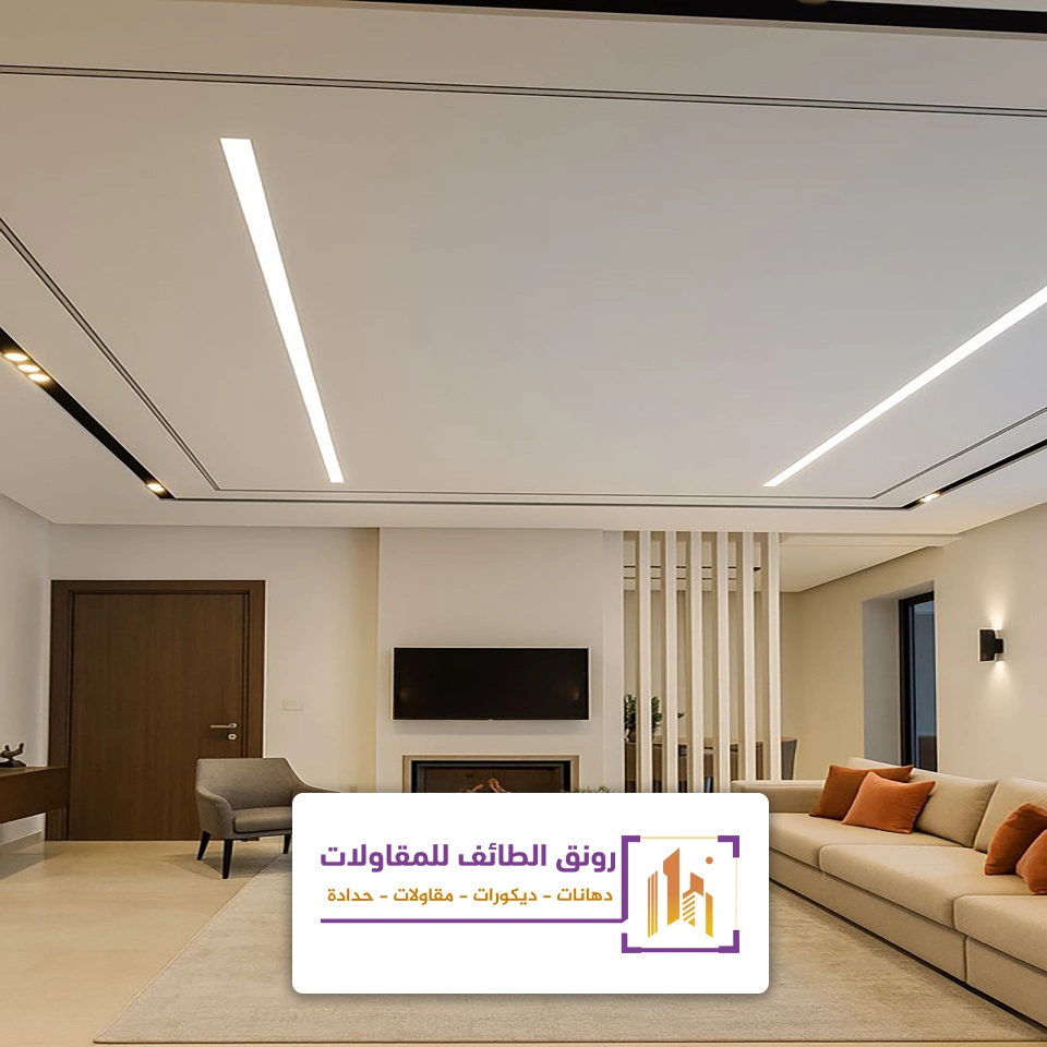 اضاءة سقف طويلة